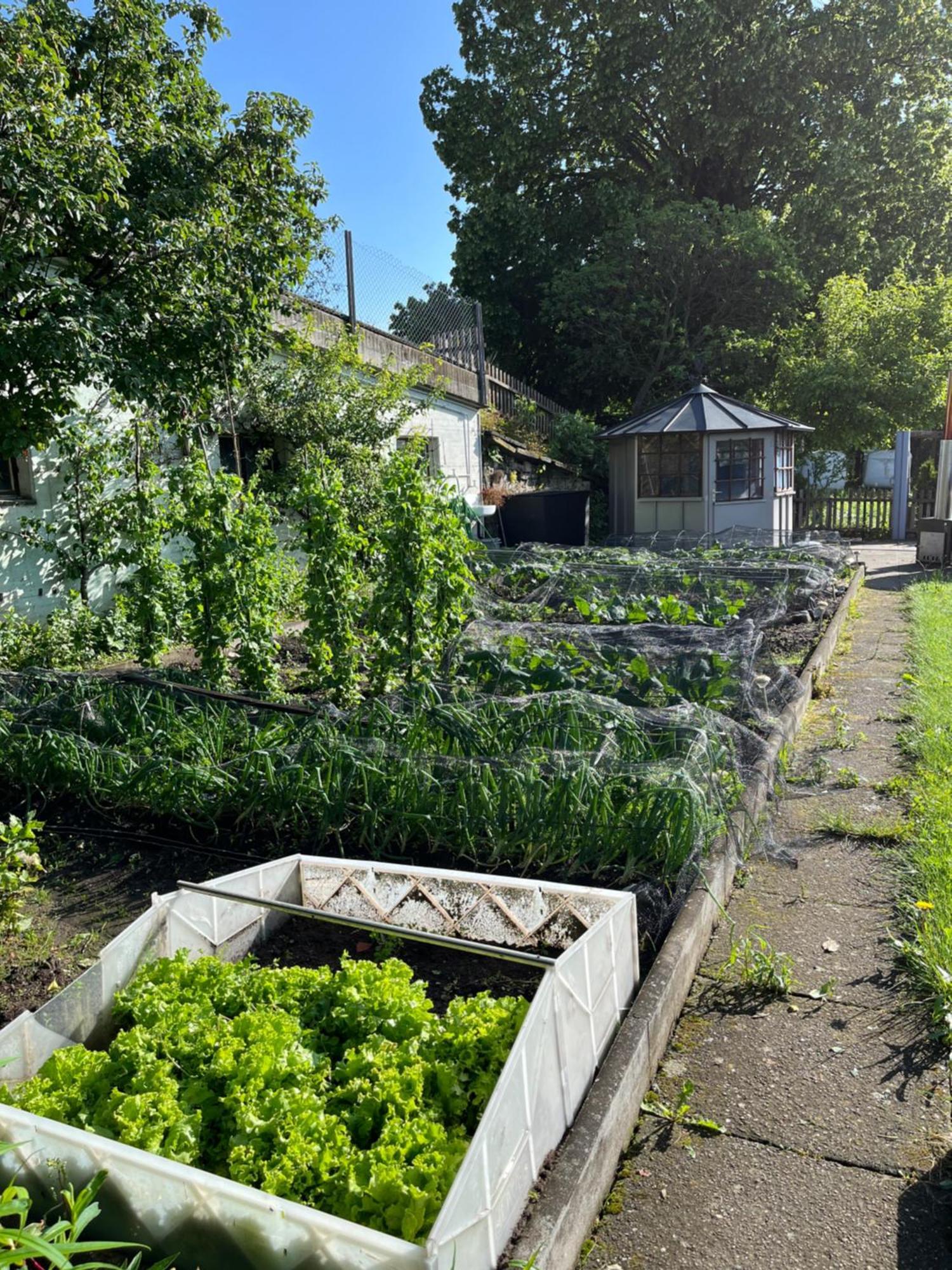 Ferienwohnung Auf Bauernhof Mit Hotpot Und Sauna Sumiswald ภายนอก รูปภาพ